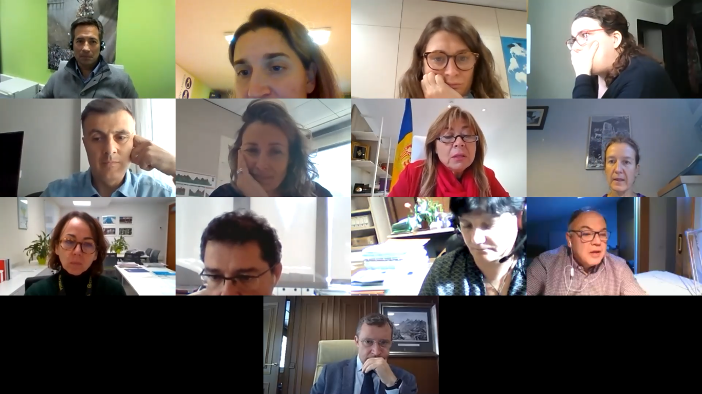 Diferents membres de la Comissió d'Informació i Vigilància en una reunió telemàtica