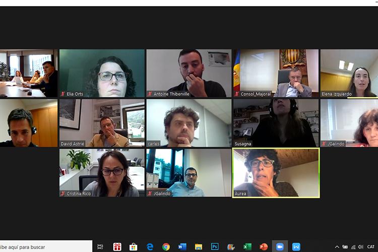 Els membres de la CIV reunits telemàticament Els membres de la CIV reunits telemàticament