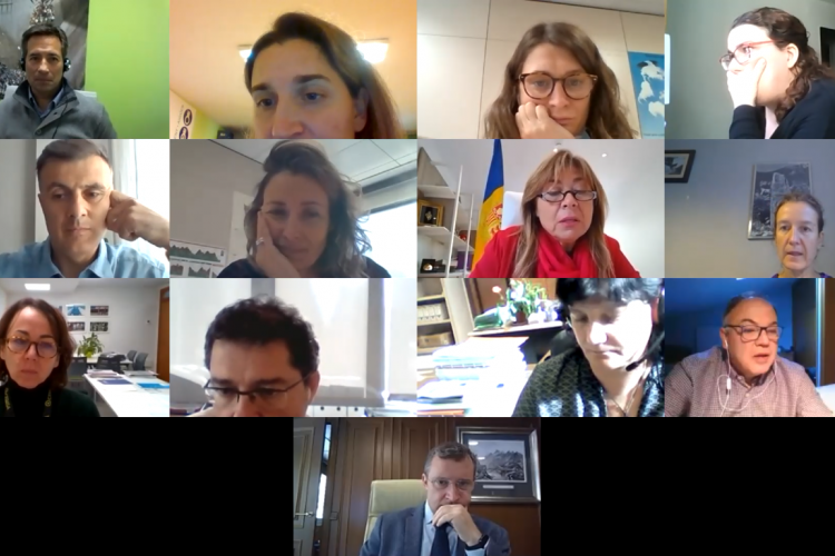 Diferents membres de la Comissió d'Informació i Vigilància en una reunió telemàtica Diferents membres de la Comissió d'Informació i Vigilància en una reunió telemàtica